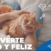 Apeticat Jarabe 100ml - Imagen 2