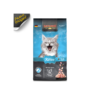 Leonardo Kitten - Imagen 2
