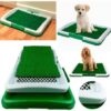 Baño ecológico para perros
